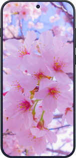 Силиконовый чехол Сакура для OnePlus OnePlus 15 - 6029u-4186 изображение 