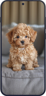 Силиконовый чехол Mini-maltipoo для OnePlus OnePlus 15 - 6158u-4186 изображение 