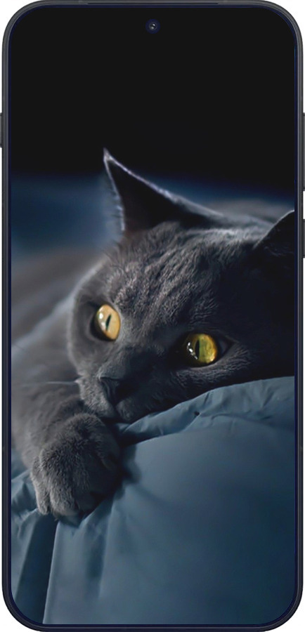 Силиконовый чехол Дымчатый кот для OnePlus OnePlus 15 - 825u-4186 изображение 