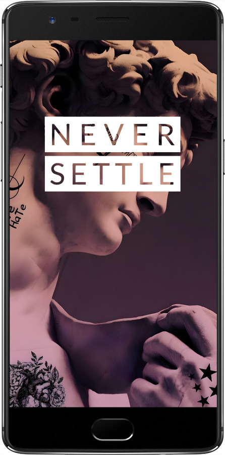 2D пластиковый чехол Давид для OnePlus 3T - 6302t-1617 изображение 