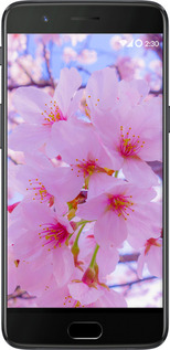 Силиконовый чехол Сакура для OnePlus 5 - 6029u-969 изображение 