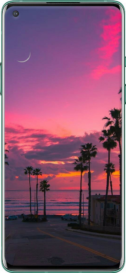 TPU чехол Пальмы для OnePlus 8 - 5873b-1902 изображение 