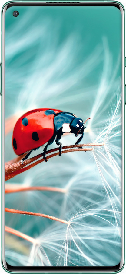 TPU чехол Сонечко для OnePlus 8 - 6049b-1902 изображение 