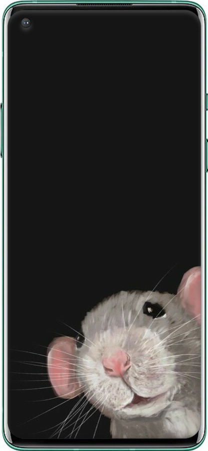 2D пластиковий чехол The Peeking Rat для OnePlus 8 - 6442t-1902 изображение 