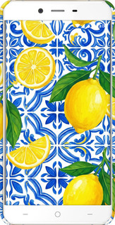 3D пластиковый глянцевый чехол Grocery Girl Italian Summer для OnePlus X - 6766c-385 изображение 