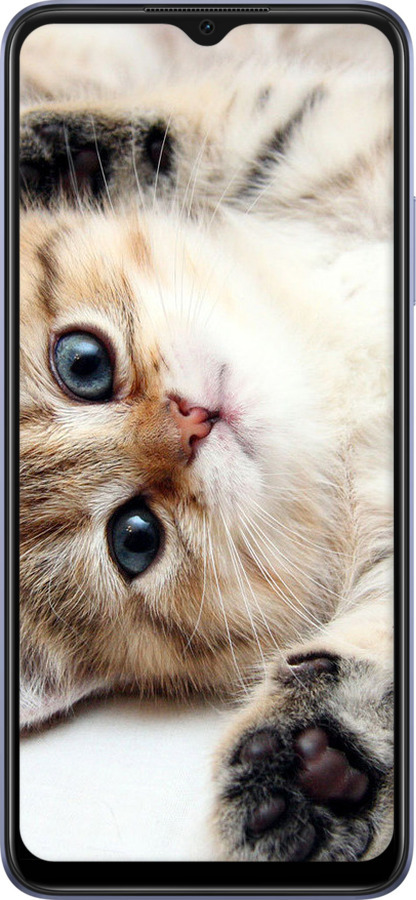 TPU чехол Котик для Oppo A17 - 6024b-2954 изображение 