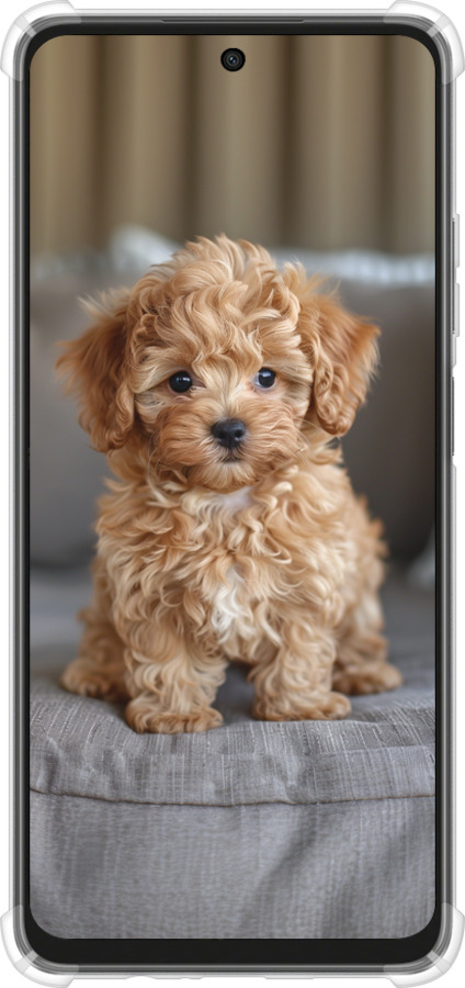 Силикон с усиленными углами чехол Mini-maltipoo для Oppo A3X 4G/5G - 6158sp-3815 изображение 