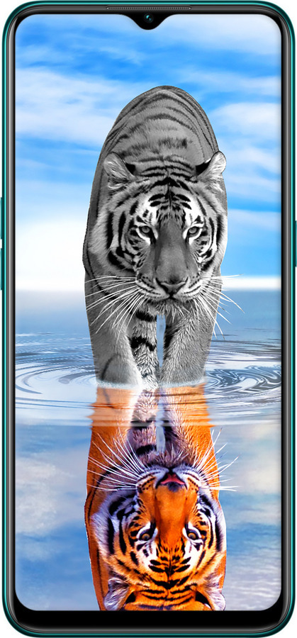 2D пластиковый чехол Тигр для Oppo A31 - 6016t-1074 изображение 