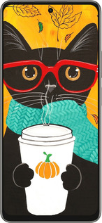 Силиконовый чехол Осенний кот для Oppo A5 PRO - 4026u-3956 изображение 