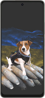 Силиконовый чехол Патрон для Oppo A5 PRO - 5320u-3956 изображение 