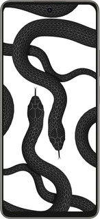 Силиконовый чехол Змеи для Oppo A5 PRO - 5473u-3956 изображение 