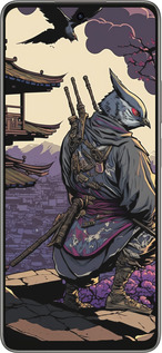 Силиконовый чехол Птица воин для Oppo A5 PRO - 5587u-3956 изображение 