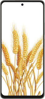 Силиконовый чехол Колоски пшеници для Oppo A5 PRO - 5866u-3956 изображение 