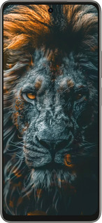 Силіконовий чехол Лев у сутінках для Oppo A5 PRO - 6154u-3956 изображение 