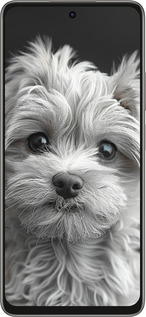 Силиконовый чехол Мальтипу на чорном фоне для Oppo A5 PRO - 6156u-3956 изображение 