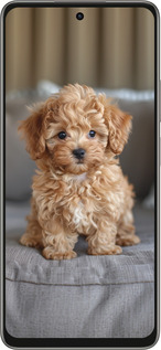 Силиконовый чехол Mini-maltipoo для Oppo A5 PRO - 6158u-3956 изображение 