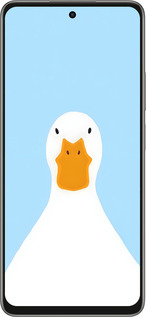 Силиконовый чехол Гусь для Oppo A5 PRO - 6350u-3956 изображение 