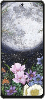 Силиконовый чехол Полночь в саду II для Oppo A5 PRO - 6424u-3956 изображение 