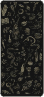 Силиконовый чехол Мистический коллаж с травами и магическими символами для Oppo A5 PRO - 6428u-3956 изображение 