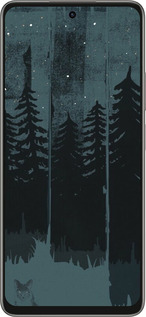 Силиконовый чехол Лиса и ночной лес для Oppo A5 PRO - 6481u-3956 изображение 