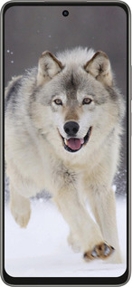 Силиконовый чехол Бегущий волк для Oppo A5 PRO - 826u-3956 изображение 