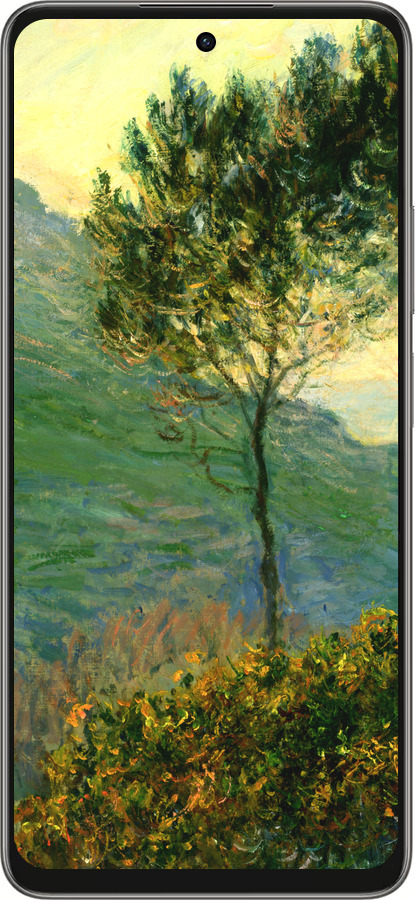 Силиконовый чехол Клод Моне для Oppo A5 PRO - 1193u-3956 изображение 