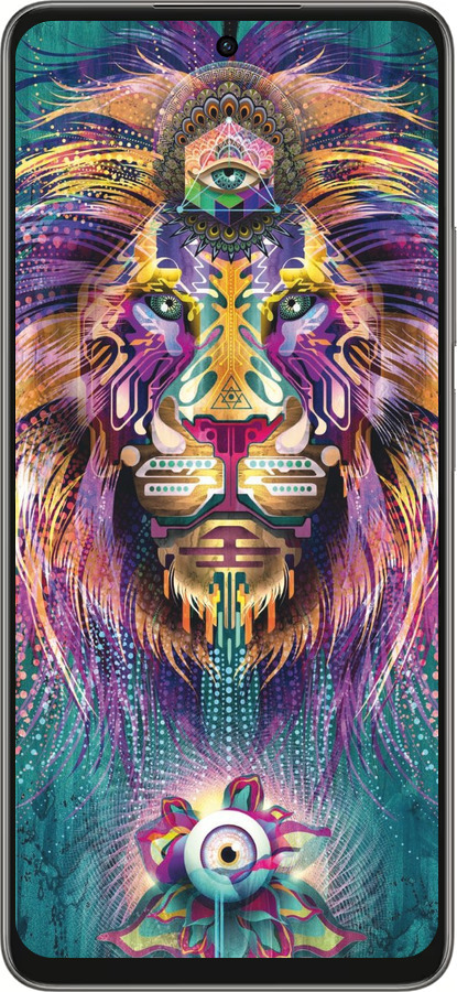 Силиконовый чехол Люминесцентный лев для Oppo A5 PRO - 4037u-3956 изображение 