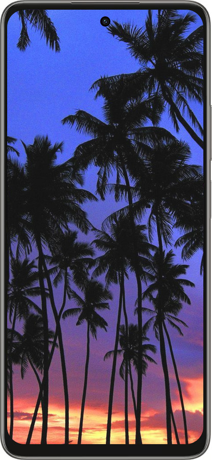 Силиконовый чехол Пальмы для Oppo A5 PRO - 4324u-3956 изображение 