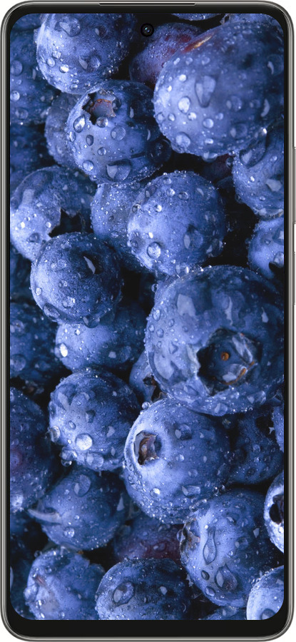 Силиконовый чехол Голубика для Oppo A5 PRO - 4459u-3956 изображение 