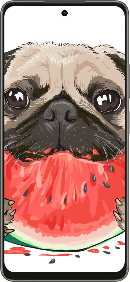 Силиконовый чехол Мопс и арбуз для Oppo A5 PRO - 4665u-3956 изображение 