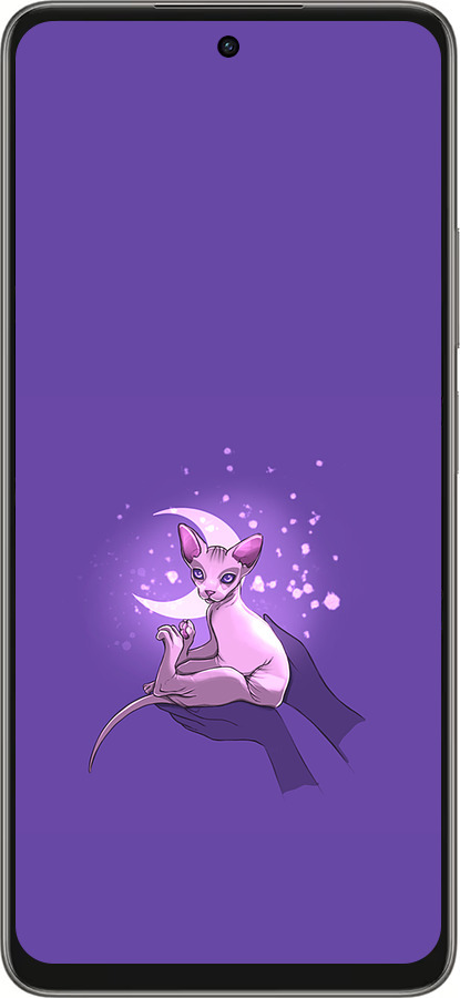 Силиконовый чехол Кот2 для Oppo A5 PRO - 4676u-3956 изображение 