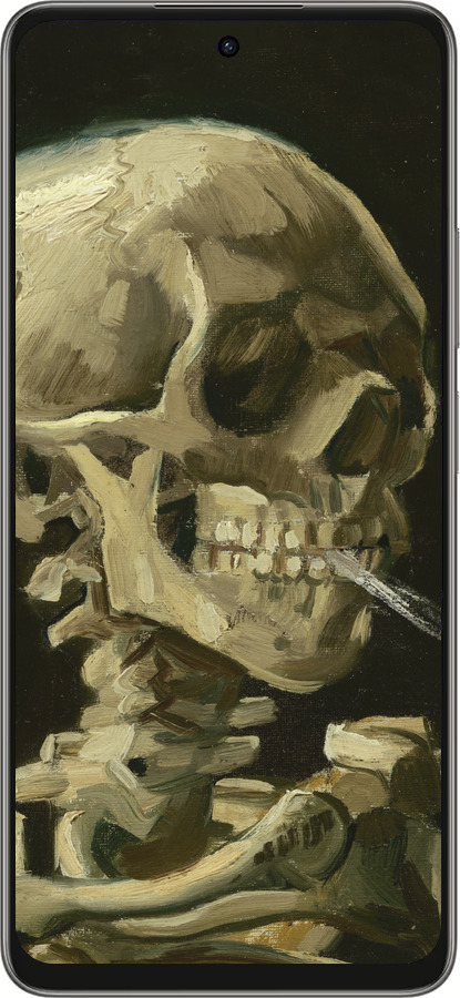 Силиконовый чехол Винсент Ван Гог. Череп для Oppo A5 PRO - 5544u-3956 изображение 