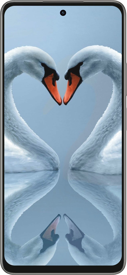 Силиконовый чехол Лебеди для Oppo A5 PRO - 6007u-3956 изображение 