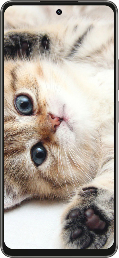 Силиконовый чехол Котик для Oppo A5 PRO - 6024u-3956 изображение 