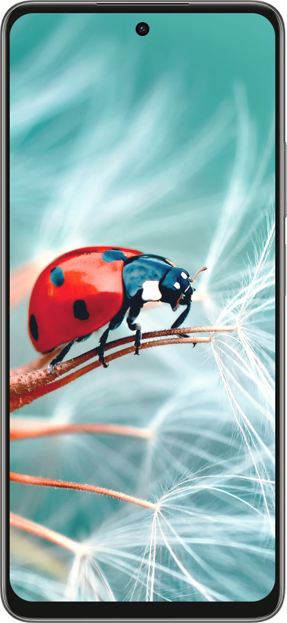 Силиконовый чехол Божья коровка для Oppo A5 PRO - 6049u-3956 изображение 