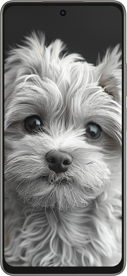 Силиконовый чехол Мальтипу на чорном фоне для Oppo A5 PRO - 6156u-3956 изображение 