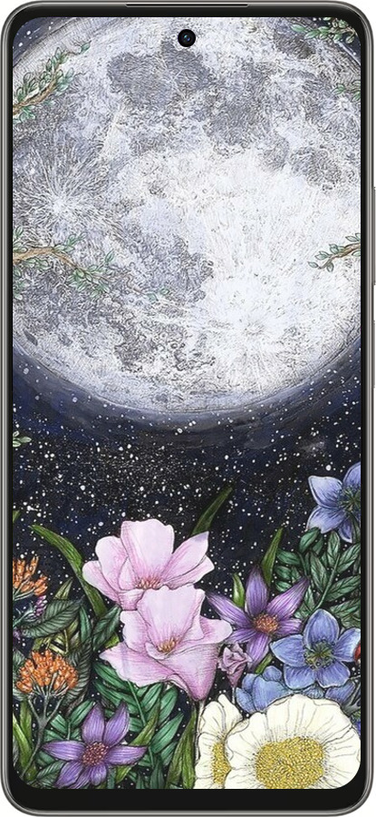 Силиконовый чехол Полночь в саду II для Oppo A5 PRO - 6424u-3956 изображение 