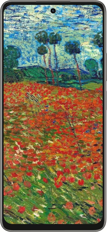 Силиконовый чехол Винсент Ван Гог-Маковое поле для Oppo A5 PRO - 6466u-3956 изображение 