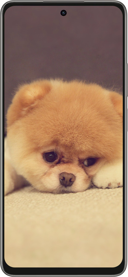 Силіконовий чехол Boo 2 для Oppo A5 PRO - 890u-3956 изображение 