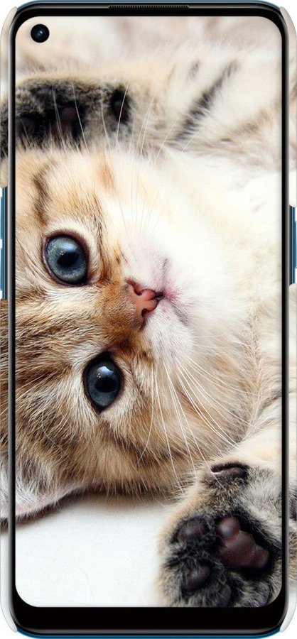 3D пластиковий матовий чехол Котик для Oppo A53 - 6024m-568 изображение 