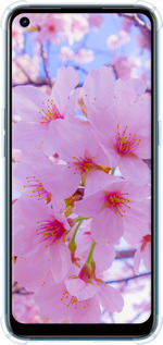 Силикон с усиленными углами чехол Сакура для Oppo A53 - 6029sp-568 изображение 