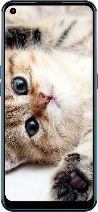 Силиконовый чехол Котик для Oppo A53 - 6024u-568 изображение 