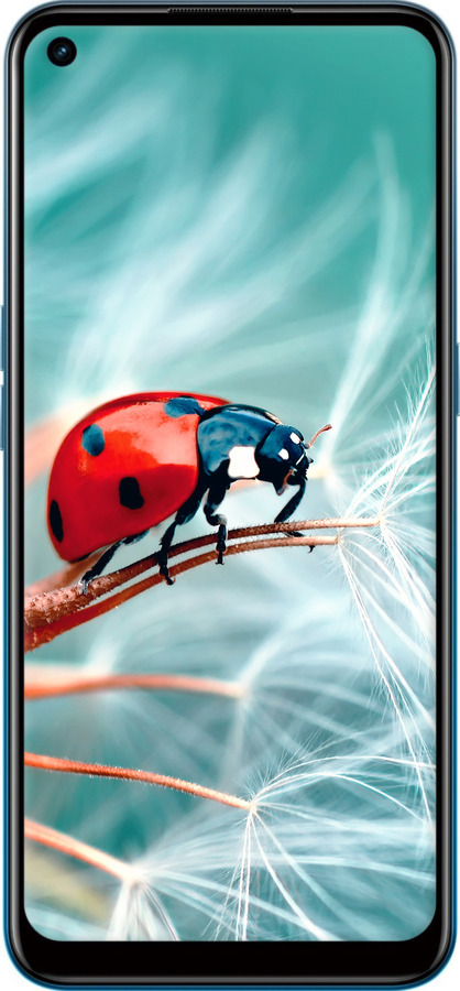 Силиконовый чехол Божья коровка для Oppo A53 - 6049u-568 изображение 