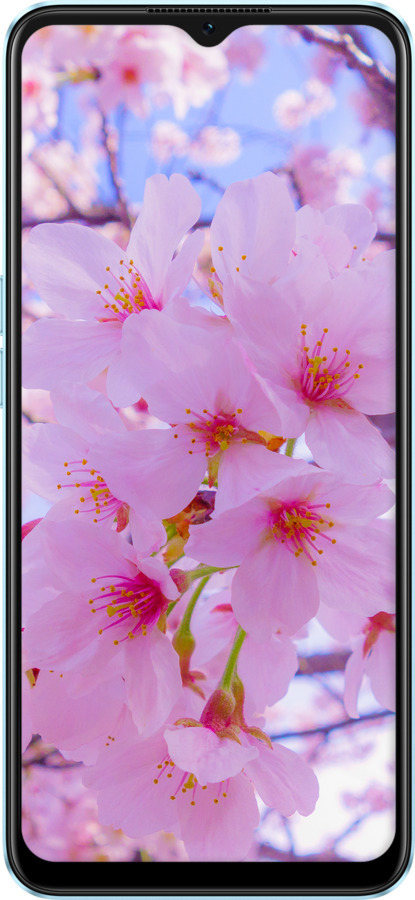 TPU чехол Сакура для Oppo A57s - 6029b-2931 изображение 
