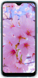 Силіконовий протиударний с посиленими кутами чехол Сакура для Oppo A12 - 6029sp-2557 изображение 