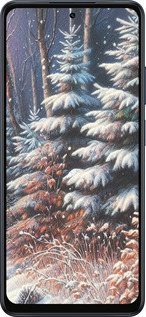 Силиконовый чехол Зимний пейзаж для Oppo A5X 4G/5G - 5814u-4090 изображение 