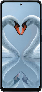 Силіконовий чехол Лебеді для Oppo A5X 4G/5G - 6007u-4090 изображение 