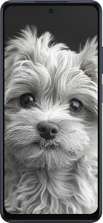 Силіконовий чехол Мальтипу на чорному фоні для Oppo A5X 4G/5G - 6156u-4090 изображение 