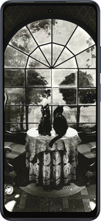 Силиконовый чехол Череп и коты для Oppo A5X 4G/5G - 6432u-4090 изображение 