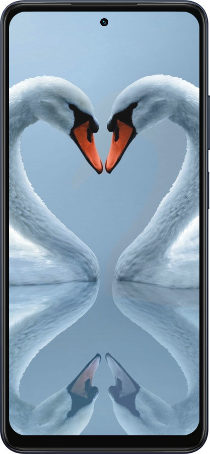 Силіконовий чехол Лебеді для Oppo A5X 4G/5G - 6007u-4090 изображение 